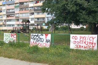 Pył węglowy uprzykrza życie w Gdańsku