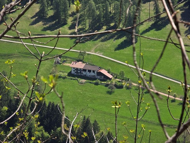 Roter Hahn: Nowoczesna agroturystyka zamiast hotelu – tu bije prawdziwe serce Południowego Tyrolu