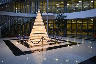 Tak wyglądały wszystkie choinki stworzone przez pracowników Biblioteki Uniwersyteckiej UWM w Olsztynie