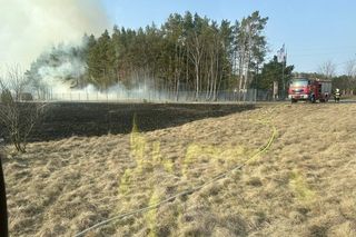 Spadła linia wysokiego napięcia. Ogień podchodził pod domy, ludzie ruszyli do gaszenia jeszcze przed strażakami