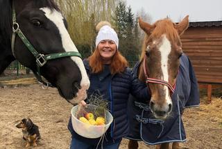 Końskie zaloty gwiazd! Co oni wyczyniają? Aż koń by się uśmiał!