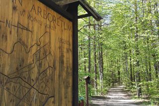 Arboretum w Kopnej Górze. Puszcza w pigułce. Warto zobaczyć to miejsce!