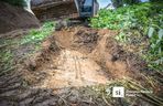 Walka z rdestowcem na budowie Trasy Północnej