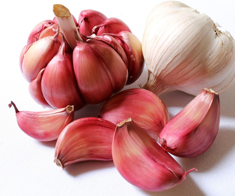 Zapach czosnku nie jest przyjemny. Jak zneutralizować zapach czosnku?