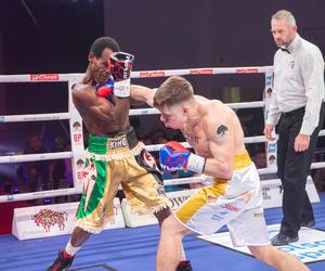 Gala bokserska Białystok Boxing Night