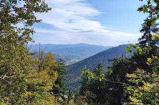 Z Wrocławia na weekend. „Niedźwiadki” i tajemniczy grobowiec
