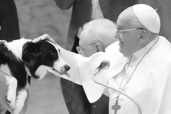 Papież Franciszek nie żyje.