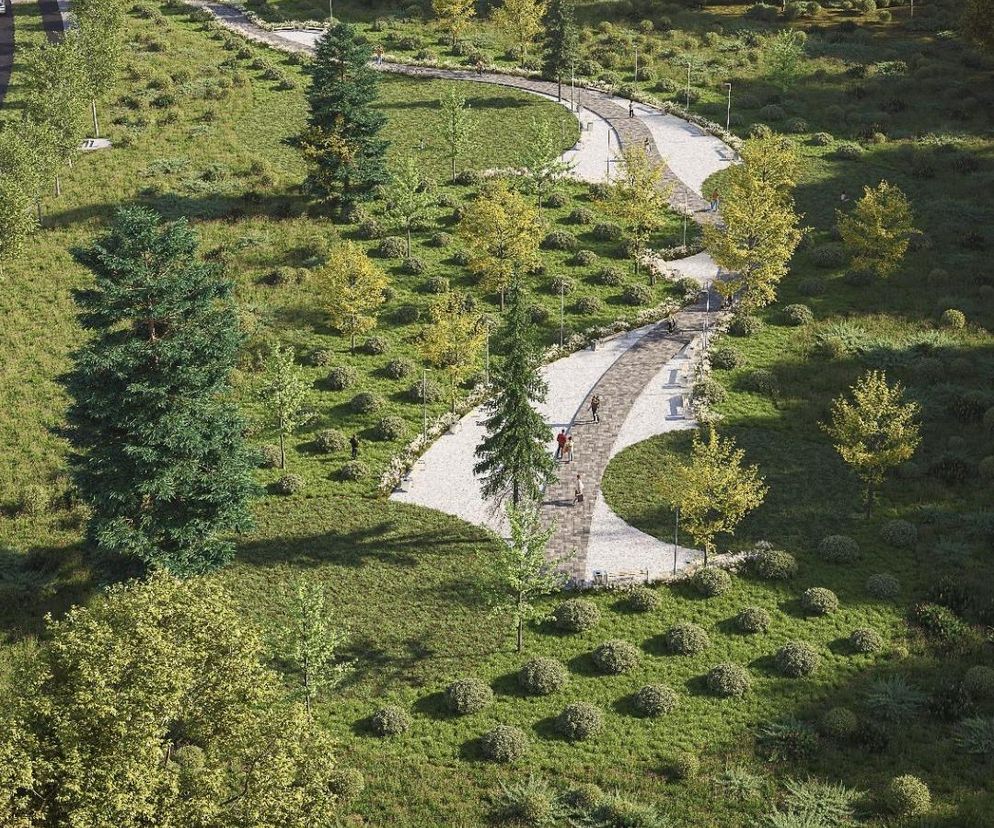 Kielce zyskają nowy park! Dotąd rosły tam... samosiejki