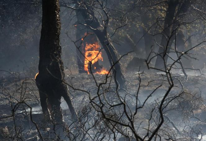 Pożary w Grecji. Polscy turyści są ewakuowani