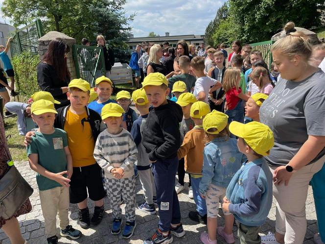 Święto kolorów, wolności i demokracji w Starachowicach