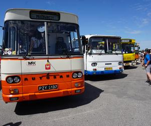 Zlot zabytkowych autobusów 2022 w Bydgoszczy [ZDJĘCIA] 