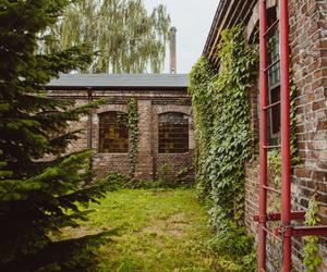 Królewska Fabryka Papieru w Konstancinie koło Warszawy będzie zrewitalizowana