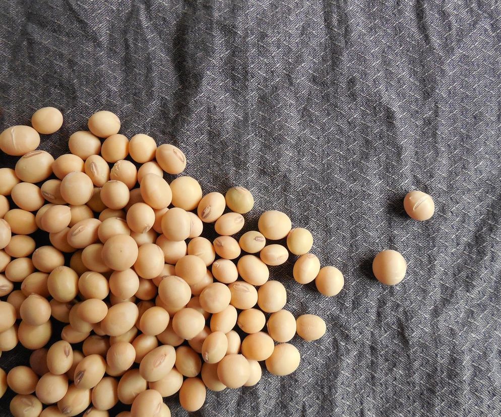 Jasne, oto propozycja tekstu alternatywnego dla przesłanego obrazu, zgodna z podanymi wytycznymi:

Jasne, oto propozycja tekstu alternatywnego dla przesłanego obrazu, zgodna z podanymi wytycznymi:

Suche nasiona soi rozsypane na szarym, fakturowanym materiale, symbolizujące uprawę soi i wyzwania dla rolnictwa. Informacje o uprawie i cenach soi przeczytasz na portalu Super Biznes.