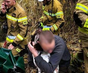 Niebezpieczny szyb w Łaziskach Górnych. Pies spadł 10 metrów w dół