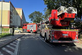 Kontrola parkowania na osiedlu w Stargardzie