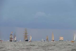 ParadaZagleGdyni2014_FotMZwierz_710387