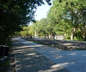 Rewitalizacja Parku Planty w Białymstoku latem 2025