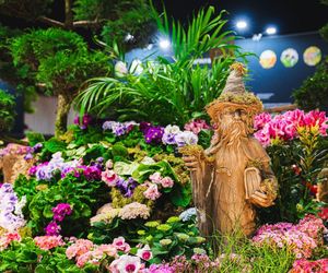 World Flower Show