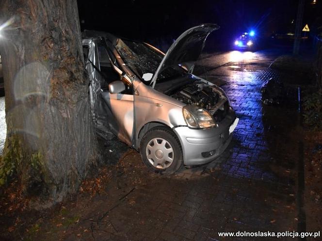 Toyota roztrzaskała się na drzewie, 20-latka nie miała szans