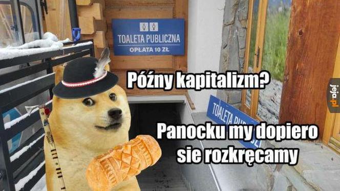 Ferie w Zakopanem? Najlepsze memy o wyjazdach w góry! 