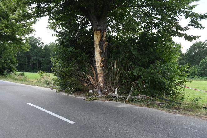 Pomorskie/ Dwa lata więzienia dla kierowcy za spowodowanie wypadku, w którym zginęły cztery osoby