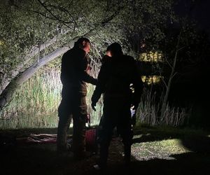 Zmarł drugi z łabędzi z Chorzowa. Co wydarzyło się na stawie?