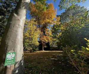 Ogród Botaniczny otwarty do końca miesiąca