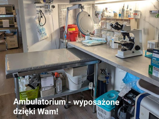 Wrocławska Ekostraż apeluje o pomoc. "Sypiemy się" 