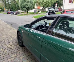 Wyleciał mi przed maskę