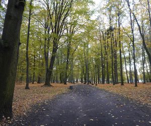 Park Lubomirskich w Białymstoku jesienią 