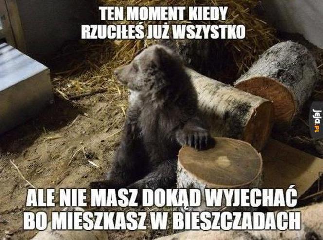 Memy o Bieszczadach
