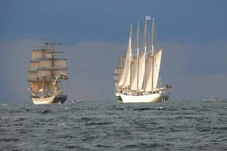 ParadaZagleGdyni2014_FotMZwierz_710354