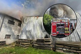 Potężny pożar hali na Mazowszu. 100 strażaków w akcji