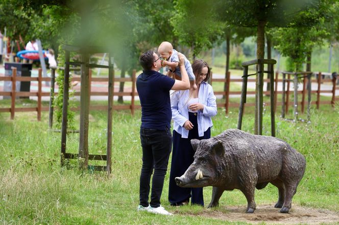Miłosz Motyka. Energia rozpiera ministra