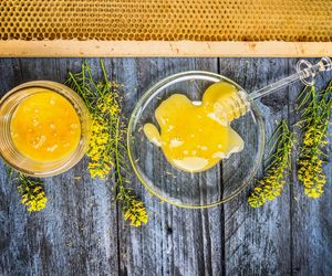 Miód rzepakowy – jakie ma właściwości? Poznaj zalety miodu z rzepaku