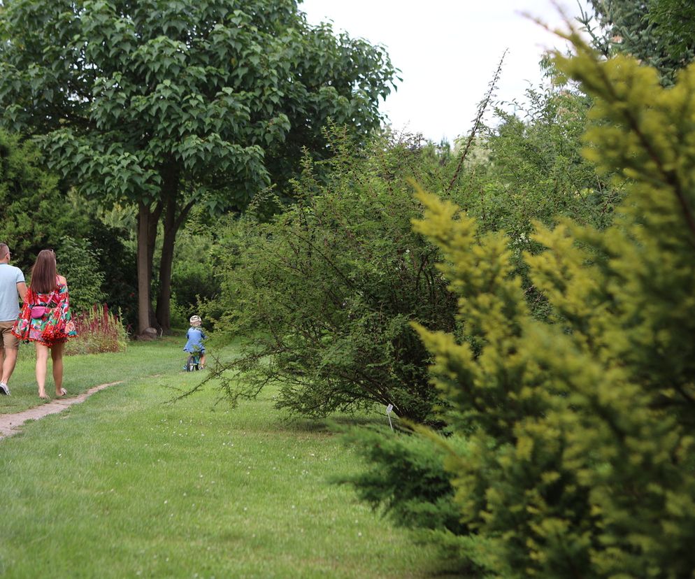 Kwitnący Ogród Botaniczny UMCS w Lublinie