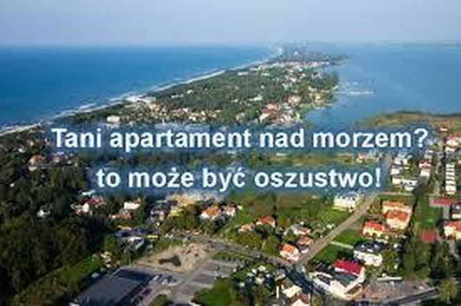 oszuści