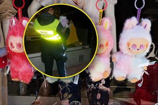Celnicy zajrzeli do busa, a tam... Labubu. Były ich tysiące! Większość to podróbki