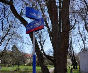 Park Sielecki