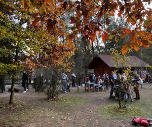 Zagroda 3 siostry w Kamieniu przyciągnęła całe rodziny w ciepły jesienny weekend ZDJĘCIA