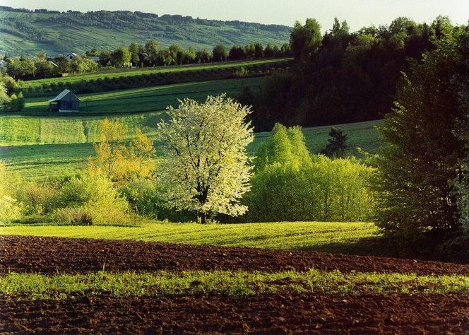 Klonów - urokliwa wieś w sercu Puszczy Świętokrzyskiej