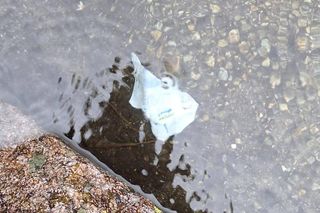 Morskie Oko zaśmiecone jak nigdy. To sprawka turystów. TPN opublikował zdjęcia.