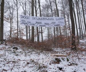 Tam musi być park narodowy. O wycince Puszczy Bukowej