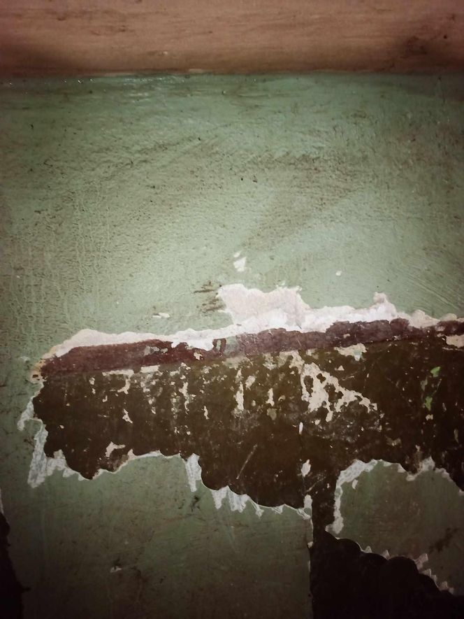 Renowacja kamienicy przy ul. Cybulskiego 19, Wrocław