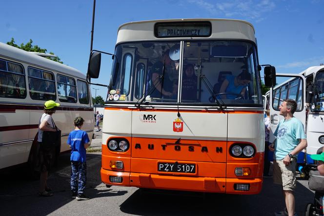 Zlot zabytkowych autobusów 2022 w Bydgoszczy [ZDJĘCIA] 