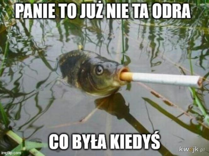 Zatruta Odra. Internauci komentują reakcje rządu [MEMY] 
