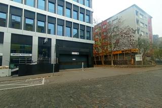 Ktoś celowo niszczy drzewa w centrum Szczecina