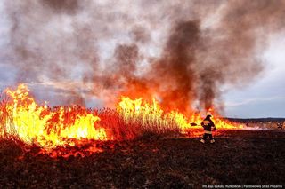 Akcja gaśnicza w Biebrzańskim Parku Narodowym