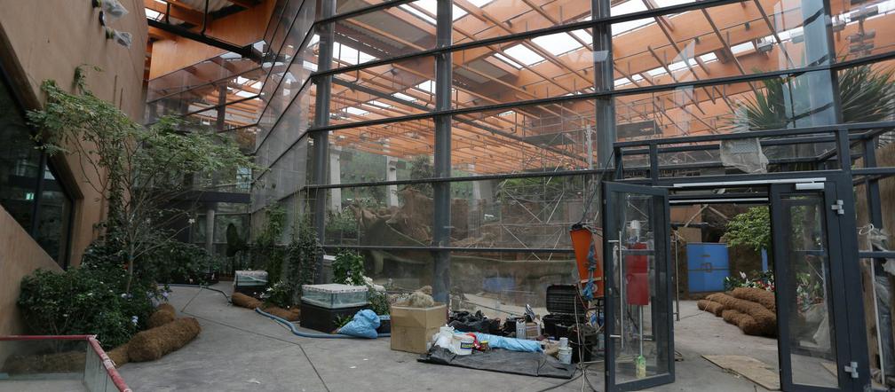 W Afrykarium trwają prace wykończeniowe - lato 2014