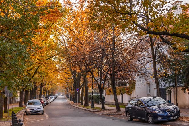 Kolonia profesorska w Warszawie